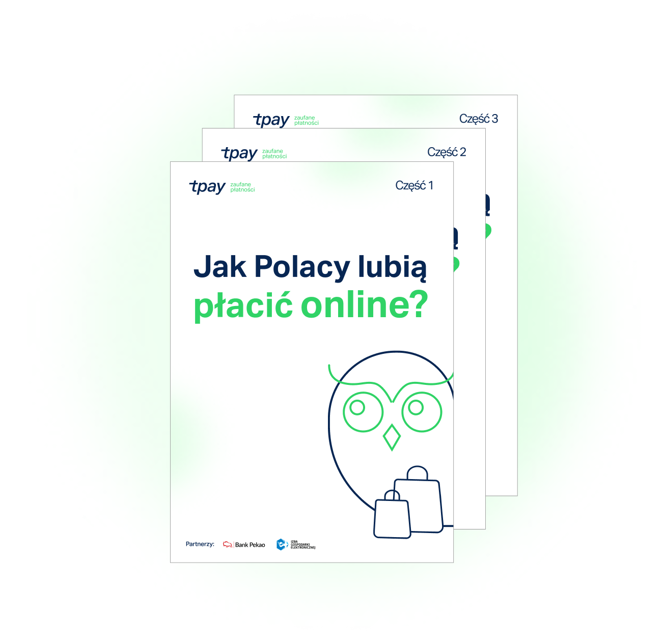 bb4b16986096a6420345fb9870776f0051b42523-naglowek-raport-tpay-min